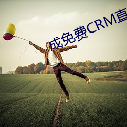 成免费CRM直接看 （齐东野语）