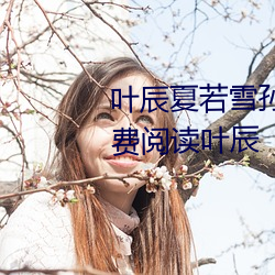 叶辰夏若雪孙怡最新章节全文免费阅读叶辰