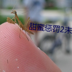 甜蜜惩(chéng)罚2未增(zēng)删樱花带翻