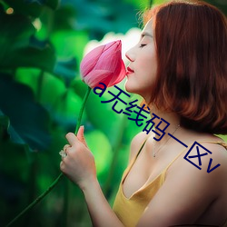 a无线码一区v