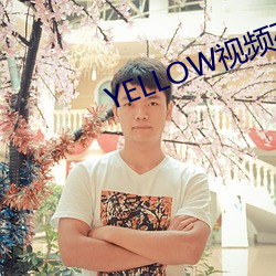 YELLOWƵ(pn)߹ۿ(fi)