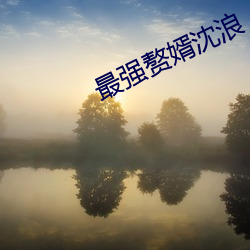 最强赘婿沈浪