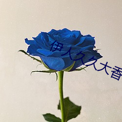 伊(yī)人久久大香线(xiàn)蕉(jiāo)综合(hé)75