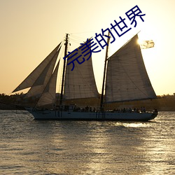 完美的世界