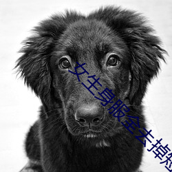 女生身服全(quán)去掉短(duǎn)裤