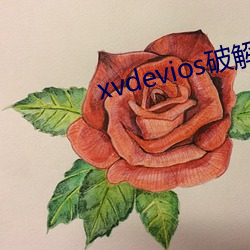 xvdevios破解中文免费版v1.0.0