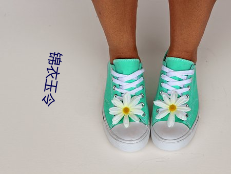 錦衣玉令