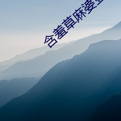 含羞草麻婆豆腐传媒