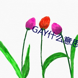 GAY什么(麽)意思(思)