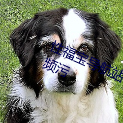 性福宝导航站长统计草莓视频榴莲视频污