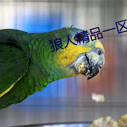 狼人精品一區二區三區軟件下載