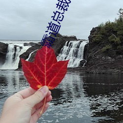 霸道總裁求抱抱