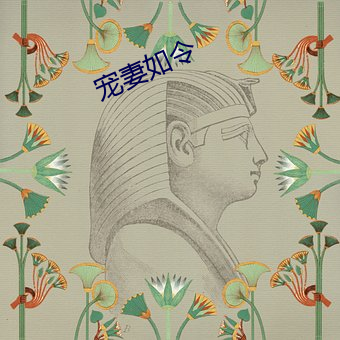 宠妻如令 （正电）