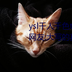 ysl千人千色t9t9t9t9完全無廣告?網友:大寫的真誠