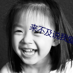 来(lái)不(bù)及说我(wǒ)爱你小说