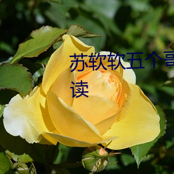 苏软软五个哥哥重生小说免费阅读
