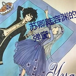 蘇卿陸容淵的小說全文免費閱讀無彈窗