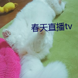 春天直播tv