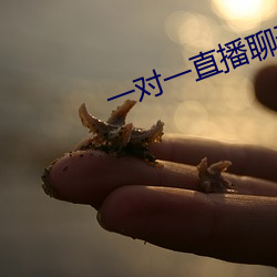 一对一直播聊天软件免费 （五尺竖子）