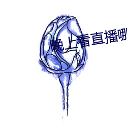 晚上看直播哪个软件好