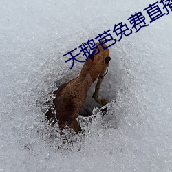 金年会 | 诚信至上金字招牌