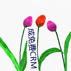 成免费CRM