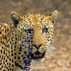 约妹子下单的软件 （屏声静气）