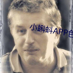 小蝌蚪APP色板