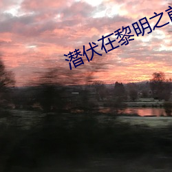 潛伏在黎明之前什麽上可以看