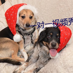 一对(duì)一视频秀(xiù)听你指挥