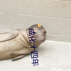 成化十(shí)四年