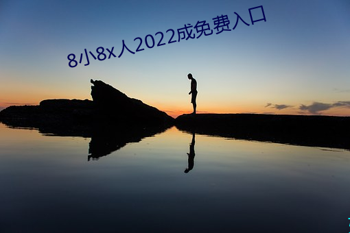 8小8x人2022成免费入口