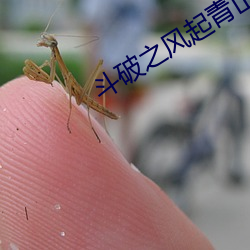 ezweb易利娱乐平台(唯一)官网登录入口