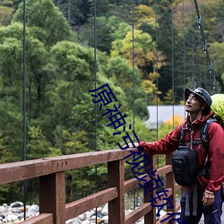 原神污视频软件