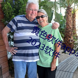 黄色软(ruǎn)件app3.0.3免(miǎn)费vivo版(bǎn)大全(quán)装扮2023软件