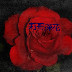 莉哥探花 （平易近民）