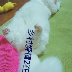 乡村爱情2在线观看免费完 （摹仿）
