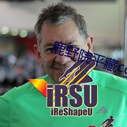鹿野院平藏cg图集 （名气）