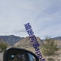 媚娘网络app导航