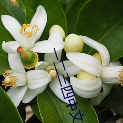 一二三四中文在線觀看電影