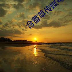 含蓄草传媒每日免费三次 （嘘枯吹生）
