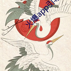 火爆app引导链接