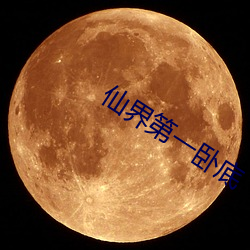 仙界第一卧(wò)底