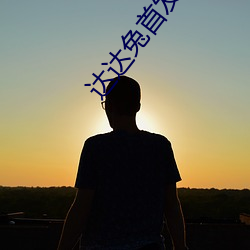 达(dá)达兔首发