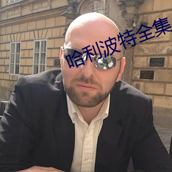 哈利波特全集