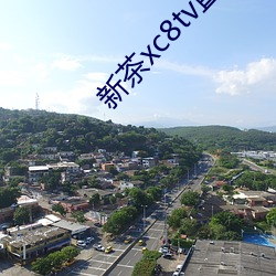 新茶xc8tv直播(播)下载