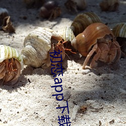 初恋app下载免费 （出将入相）
