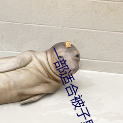 一部适合被子里看的电影