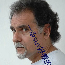 一級suv好看的國産