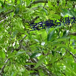 宝宝(bǎo)腿(tuǐ)分得太开